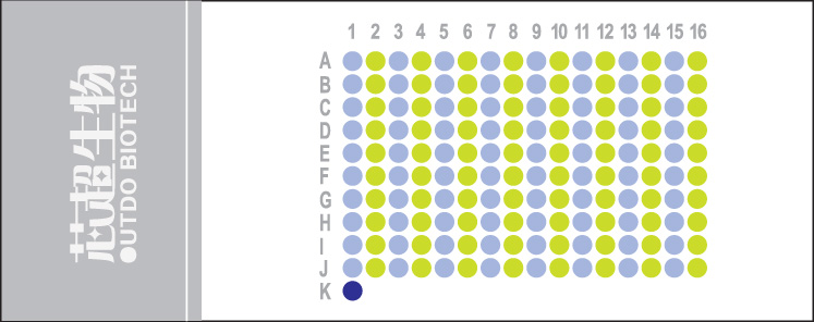 HLivH160CS02